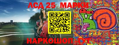 индика Краснознаменск
