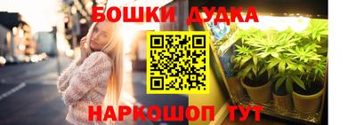 индика Краснознаменск