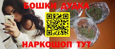 индика Краснознаменск