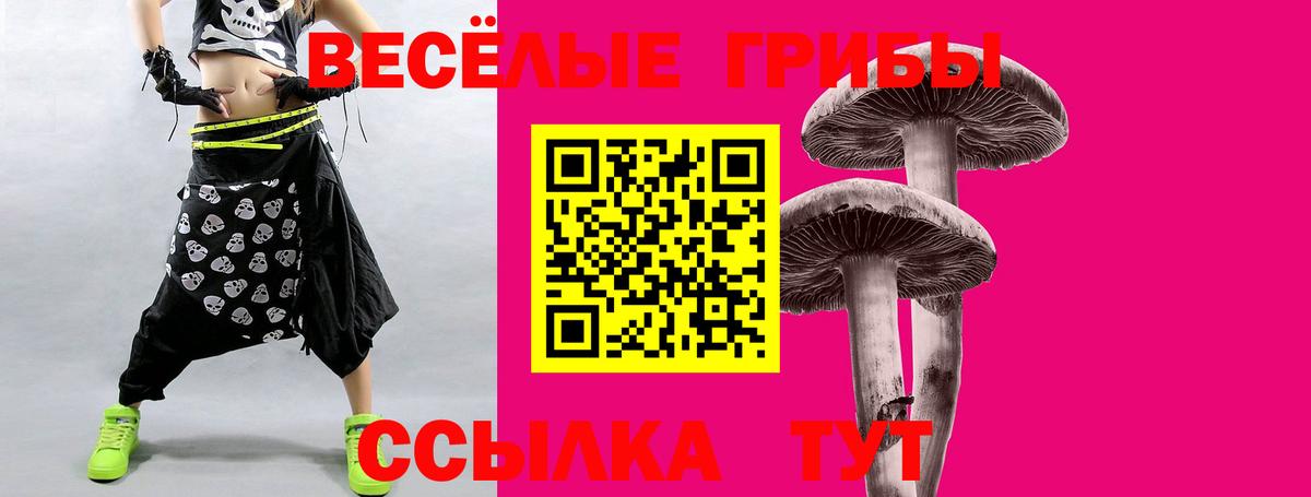 Псилоцибиновые грибы мухоморы Черняховск