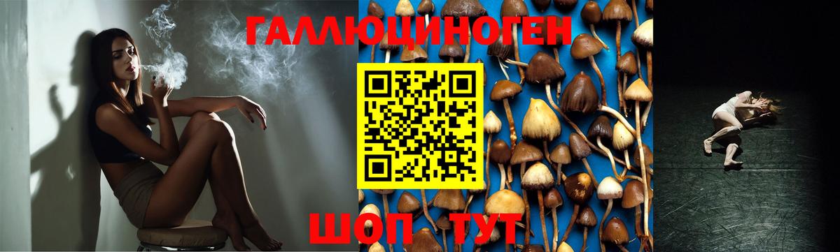Галлюциногенные грибы Cubensis  Псилоцибиновые грибы ЛСД  Черняховск  Вход с VPN 